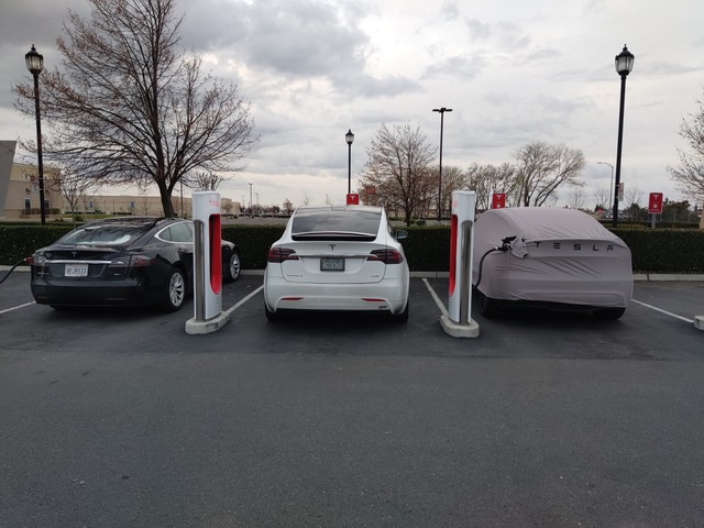 Tesla Model Y at supercharger next to Model X.